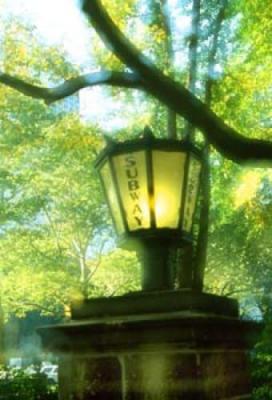 Subway, Central Park art print by K. Reynolds