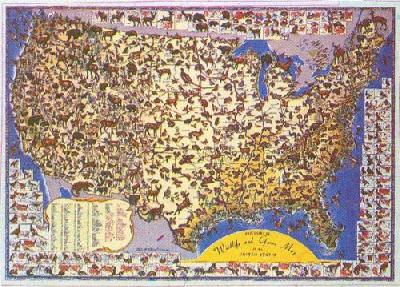 Pictorial Wildlife And Game map of U.S.A. art print by Map