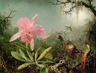 Cattleya Orchid And Three Brazilian Hummingbirds art print by Martin Johnson Heade
