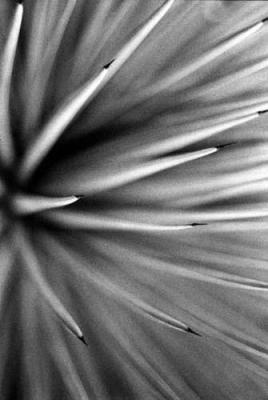 Kew 1 art print by Michael Banks