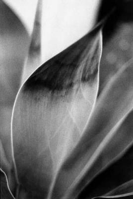 Kew 6 art print by Michael Banks