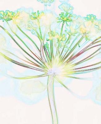 Zen Flower 5 art print by Michael Banks
