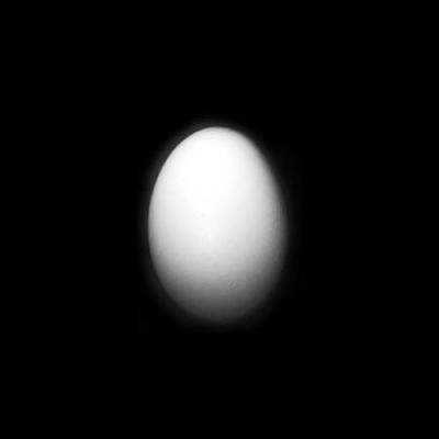 Egg 1 art print by Michael Williams