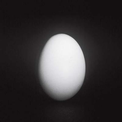Egg art print by Michael Williams