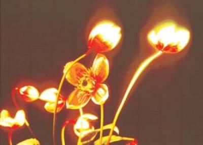 Flower art print by Michael Williams