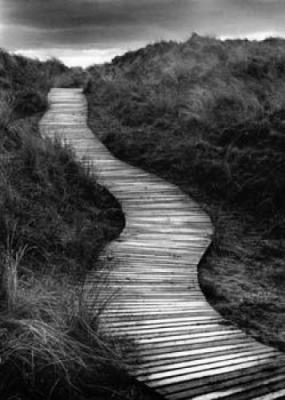 Board Walk art print by Neil Souch