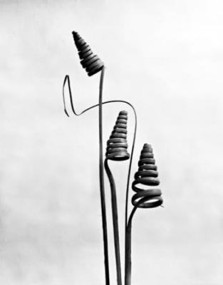 Form 2 art print by Paul Warner
