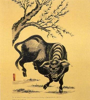 Bull