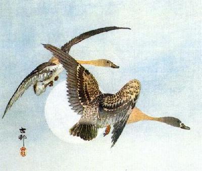 On The Wing art print by Shoson