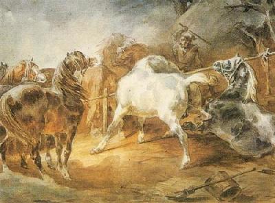 Fighting Horses art print by Theodore Gericault