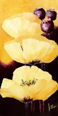 Yellow Poppies IV