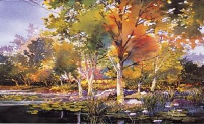 Birch Pond art print by Douglas Chun