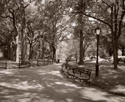 May in Manhattan II art print by Sondra Wampler