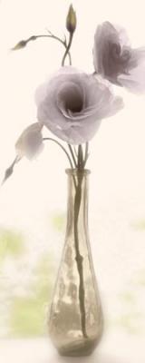 Charming Lisianthus
