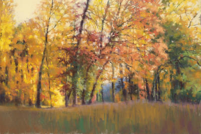 Dancing With Color