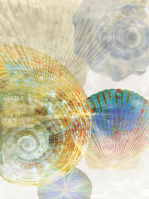 Shell Suite III art print by Mertens