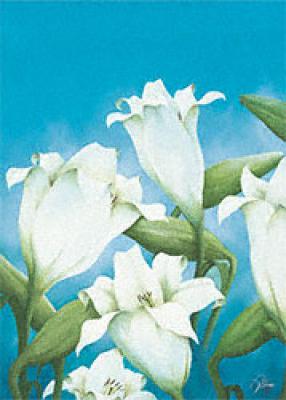 Fresh Lillies art print by Alicia Sloan