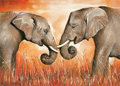 Elephant Kiss art print by Arkadiusz Warminski
