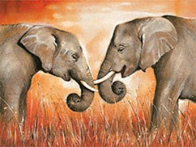 Elephant Kiss art print by Arkadiusz Warminski