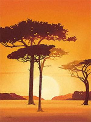 Wunderful Sunset art print by Frank Fellini