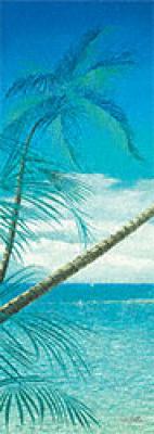 A dream of Tonga I art print by Howard Page