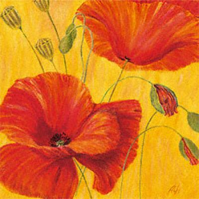 Summer Sun art print by Raimund Roth