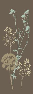 Chocolate Meadow Flower art print by Alan Johnstone
