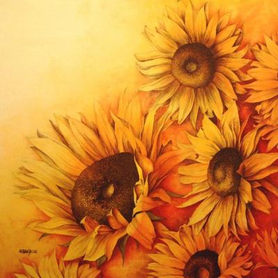 Sunspot