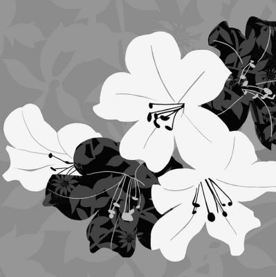 Monochrome Lily Collage art print by Kate Knight