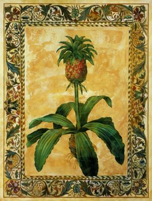 Tropical Inspiration