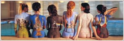 Pink Floyd (Back Catalogue) art print by Door Posters