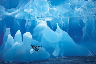 Antartic Wonderland art print by Maxi Posters