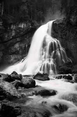 Austrian Forest Waterfall