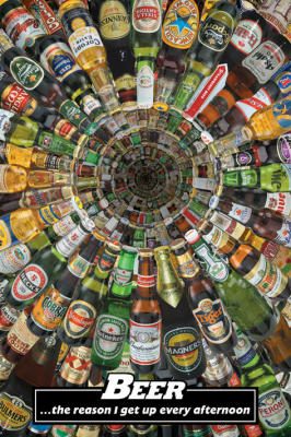 Beer... The Reason art print by Maxi Posters