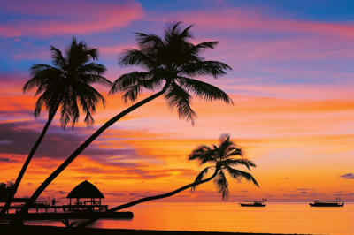 Maldives Evening