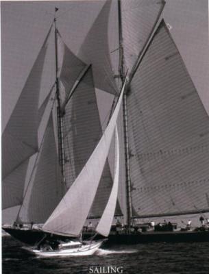 Sailing B N big art print by Pastorelli