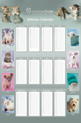Birthday Calendar art print by Rachael Hale