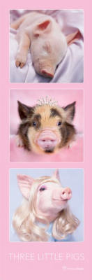 Rachael Hale (Three Little Pigs) art print by Rachael Hale