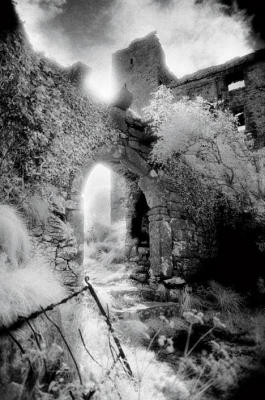 Ballynalacklan Castle art print by Simon Marsden
