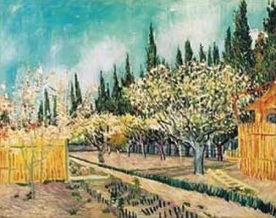 Frutteto circondato da cipressi, 1888 art print by Vincent Van Gogh