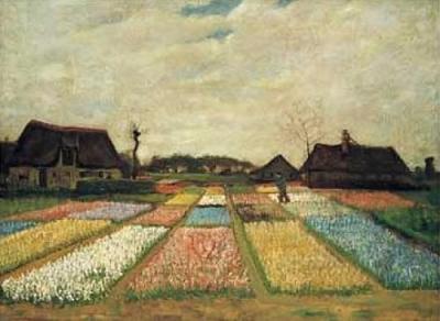 Letti di fiore in olanda art print by Vincent Van Gogh