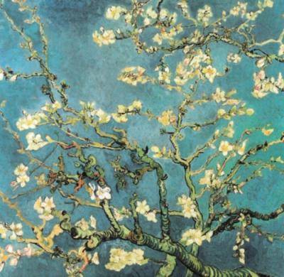 Rami di mandorlo in fiore, 1890 art print by Vincent Van Gogh