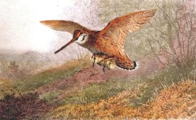 Labour of Love (Restrike Etching) art print by Archibald Thorburn