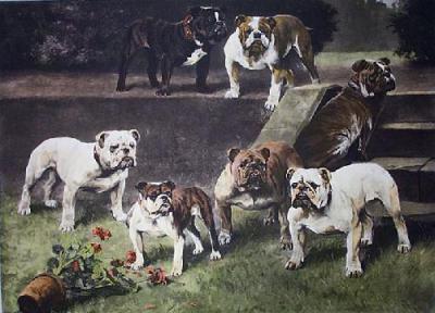Bullbitches of the 20th Century (Restrike Etching) art print by Arthur Wardle