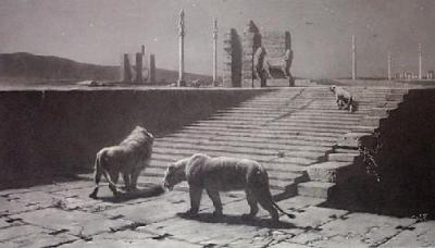 Persepolis (Restrike Etching)