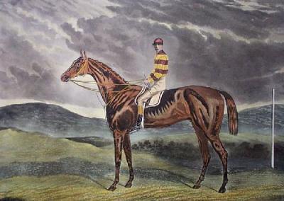 Sir Visto (Restrike Etching)
