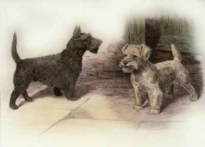 Scotties (Restrike Etching) art print by Dixon