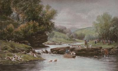 Otter Hunting (Restrike Etching) art print by Douglas Adams