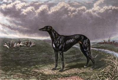 Snowflight (Restrike Etching) art print by Edwin H. Hunt