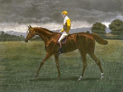 Sanfoin In The Rain (Restrike Etching) art print by Harrington Bird